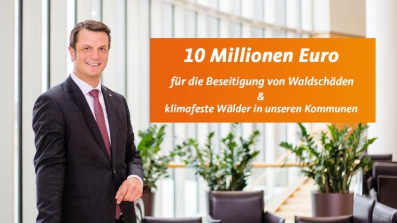 10 Millionen Euro Wald 10 Millionen Euro Wald